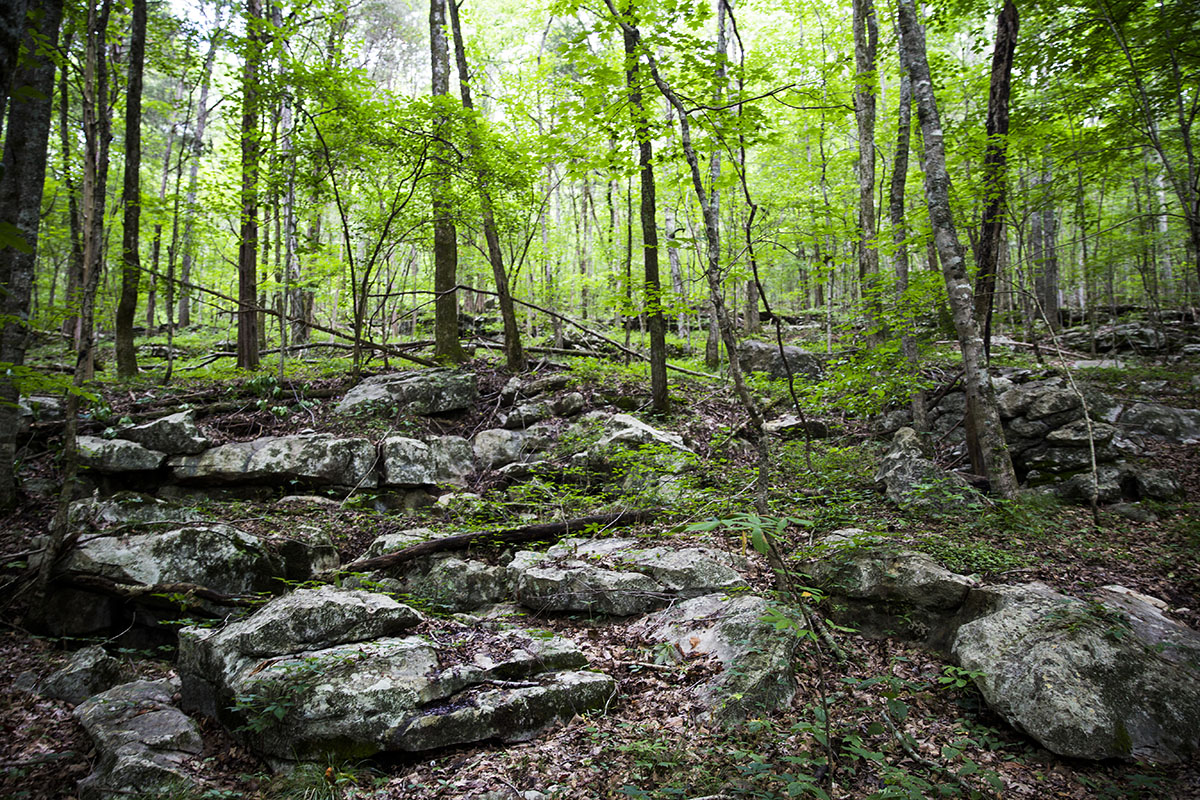 Mud Creek Farm Hall and Hall